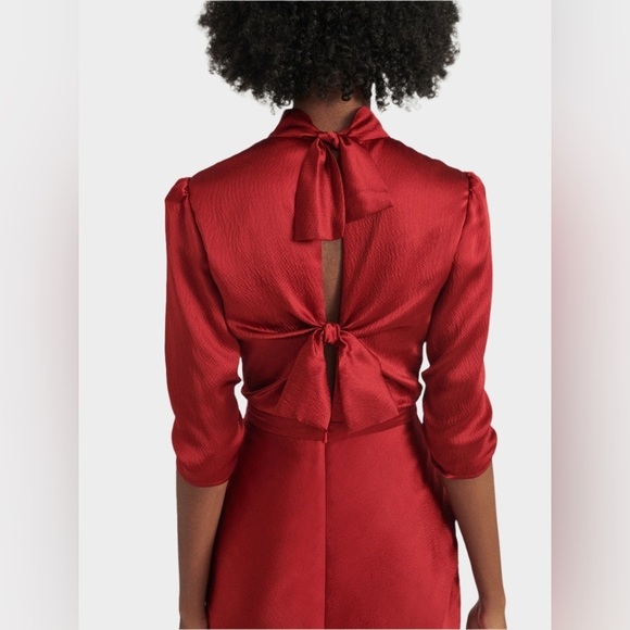 New! SALONI Adele Red Silk-Satin Maxi Dress With Open Back Ties ♥️ size 8 - Picture 7 of 16